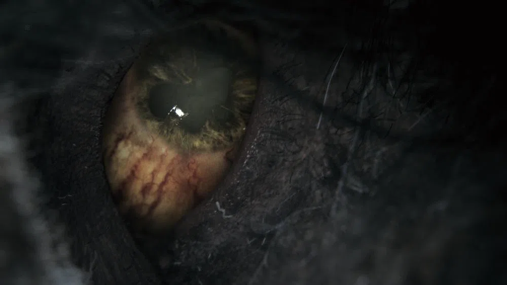 Playstation Bloodborne HITS